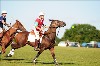 UKPA NC SAT_2186
